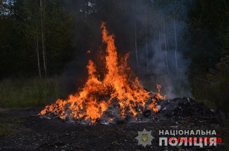 Упродовж 2018 року поліцейські Житомирщини вилучили з незаконного обігу понад 200 кг наркотиків