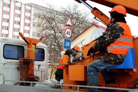 Для повного переходу на світлодіодне освітлення у Житомирі потрібно замінити ще 7500 ліхтарів