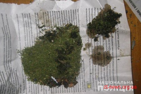 Коростенські дільничні вилучили марихуану у будинку жителя с. Грозине