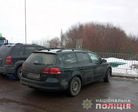 Поблизу Житомира під час крадіжки з авто випадкові свідки затримали злодія