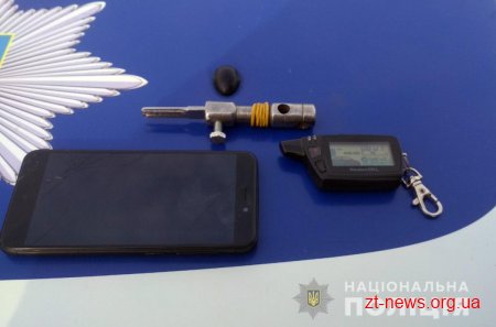Поблизу Житомира під час крадіжки з авто випадкові свідки затримали злодія