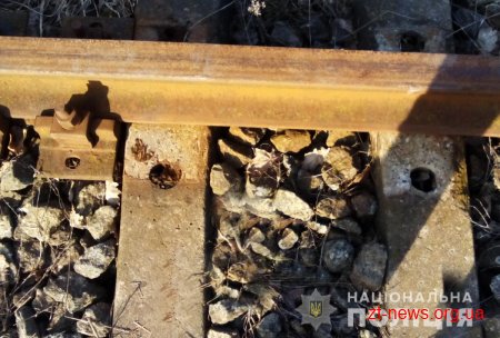 На Житомирщині поліцейські "на гарячому" затримали молодиків під час крадіжки кріплень колії