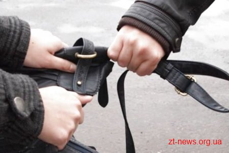 У Житомирі троє невідомих напали на чоловіка і відібрали сумку
