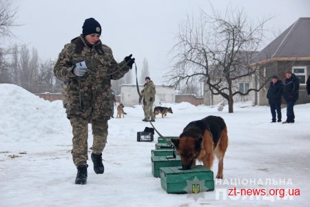 У Житомирі відбувся випуск поліцейських кінологів із 7 регіонів України та м. Києва