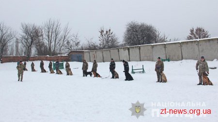У Житомирі відбувся випуск поліцейських кінологів із 7 регіонів України та м. Києва