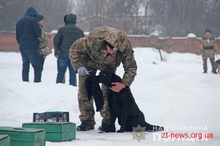 У Житомирі відбувся випуск поліцейських кінологів із 7 регіонів України та м. Києва