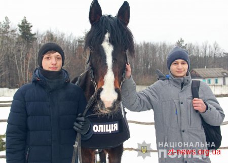 Вартові правопорядку Житомирщини познайомились з діяльністю кінної кавалерії поліції