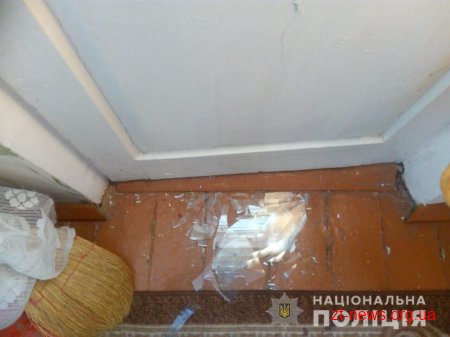 На Житомирщині поліцейські завадили сімейному дебоширу вчинити самогубство