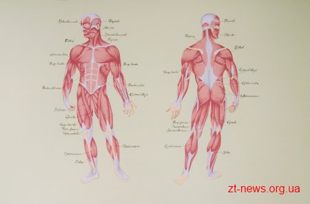 У Гришковецькій гімназії розмальовують коридори та класи під Новий освітній простір