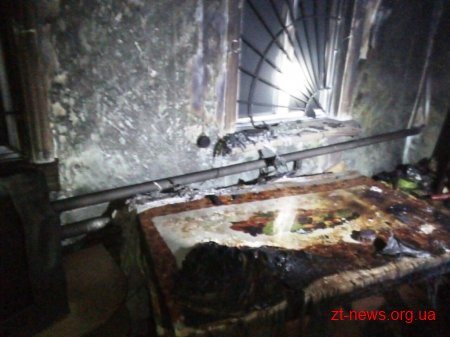На Житомирщині 3 людини отримали травми під час пожеж минулої доби
