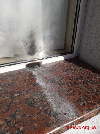 У Житомирі поліція розпочала кримінальні провадження за фактами хуліганства