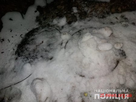 Поліцейські у Житомирі затримали двох чоловіків, які викрадали каналізаційні люки