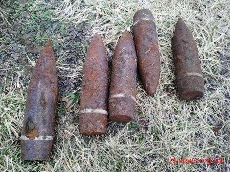 Піротехніки області знищили 6 артснарядів, виявлені на вихідних