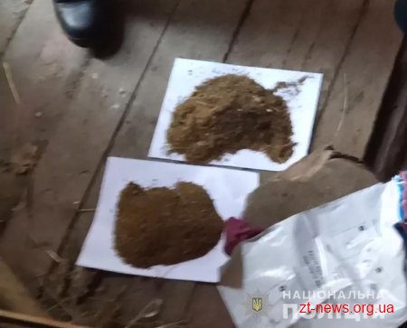 Поліцейські вилучили наркотики з помешкання жителя Звягельщини