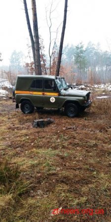 На Житомирщині лісник виявив артснаряд калібром 105 мм