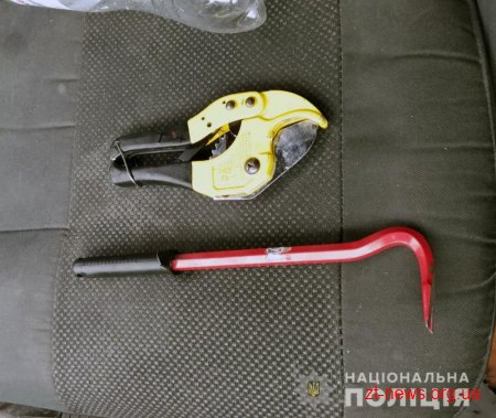 На Житомирщині поліція затримала чергову групу «домушників»
