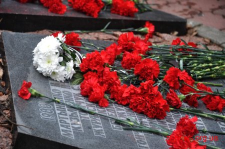У Житомирі вшанували пам’ять учасників бойових дій на території інших держав