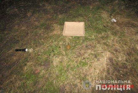 У Новограді-Волинському молодик кинув на землю перед оперативниками ручну гранату
