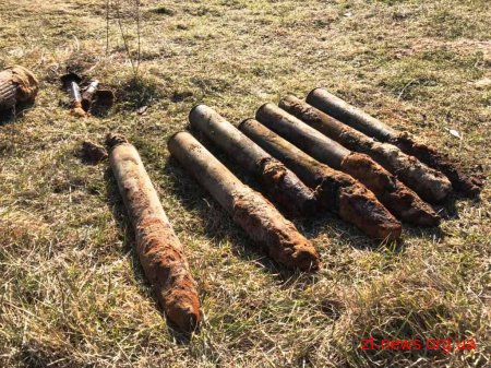 У Ємільчинському районі піротехніки знищили 7 артснарядів