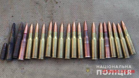 На Житомирщині поліцейські вилучили з приватного будинку зброю та наркотики