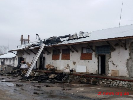У Бердичеві горіла будівля меблевого цеху