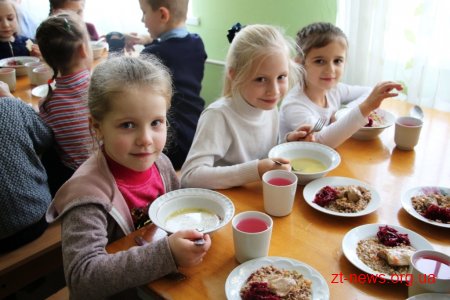 Фахівці департаменту освіти Житомира відвідали їдальню ліцею №25