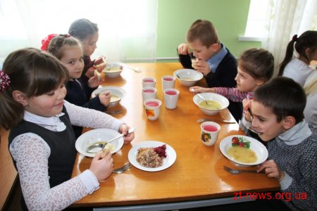 Фахівці департаменту освіти Житомира відвідали їдальню ліцею №25