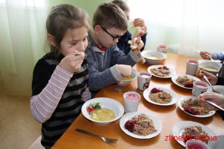 Фахівці департаменту освіти Житомира відвідали їдальню ліцею №25