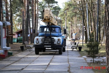 Заступник директора КП "Парк" показав в якому стані були аварійні дерева