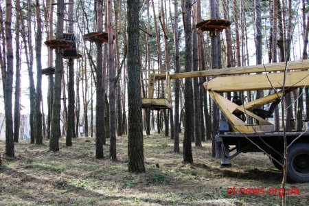 Заступник директора КП "Парк" показав в якому стані були аварійні дерева