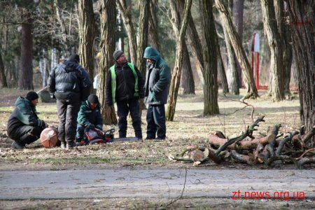 Заступник директора КП "Парк" показав в якому стані були аварійні дерева