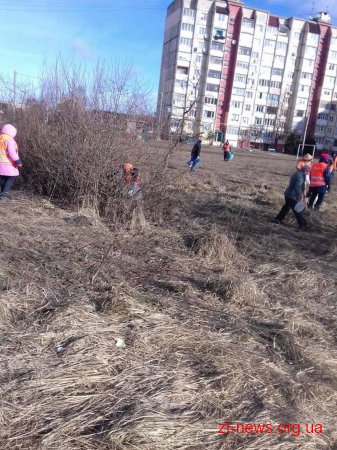 У Житомирі розпочали прибирання вулиць від сміття