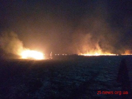 За добу рятувальниками ліквідовано 40 пожеж сухої трави