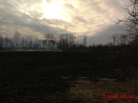 За добу рятувальниками ліквідовано 40 пожеж сухої трави