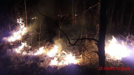 Упродовж доби вогнеборці області ліквідували 20 загорянь сухотрав’я, внаслідок яких вогнем пройдено 49 га території