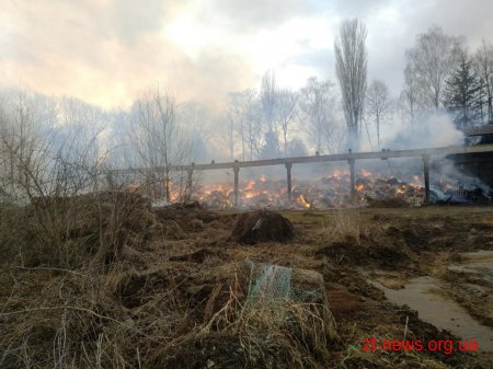 На Житомирщині рятувальники 5 годин гасили пожежу в бетонному піддашку для сіна