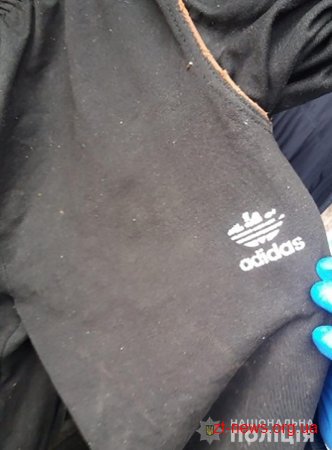 Поліцейські встановлюють особу загиблого, знайденого у лісі на Житомирщині