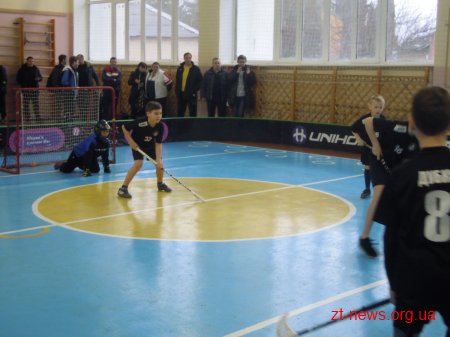 У Житомирській гімназії №23 кияни презентували гру «флорбол»