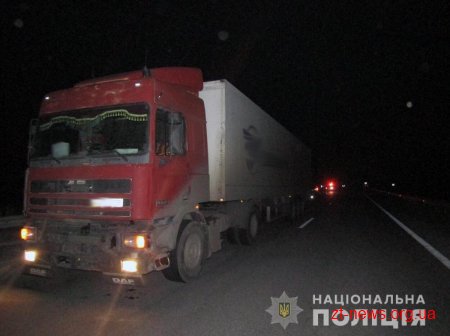 На Звягельщині під колеса вантажівки потрапила киянка