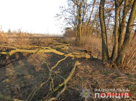 У Чуднові двоє місцевих жителів незаконно зрізали акації на території навчального закладу