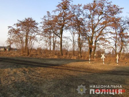 У Чуднові двоє місцевих жителів незаконно зрізали акації на території навчального закладу