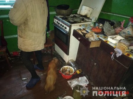 На Житомирщині поліцейські з початку року передали до суду обвинувачення проти трьох домашніх тиранів