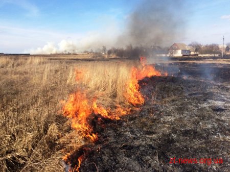 За добу вогнеборці області ліквідували 9 пожеж сухої трави, 5 з яких виникли в одному районі