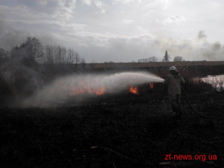Упродовж доби вогнеборці ліквідували 31 загоряння сухої трави на загальній площі 59,7 га