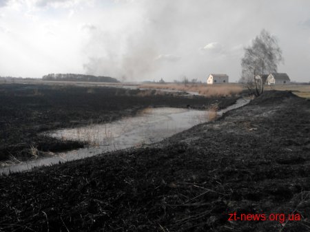 Упродовж доби вогнеборці ліквідували 31 загоряння сухої трави на загальній площі 59,7 га
