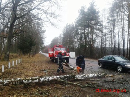 Рятувальники області ліквідовують наслідки погодних умов
