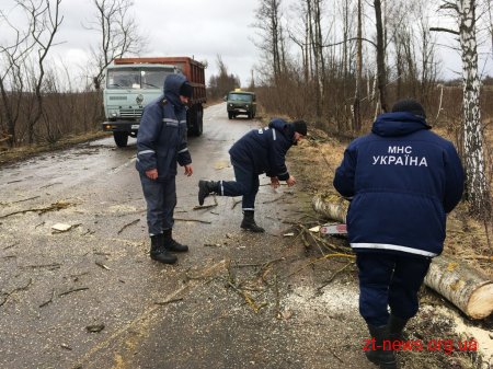 Рятувальники області ліквідовують наслідки погодних умов