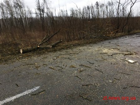Рятувальники області ліквідовують наслідки погодних умов