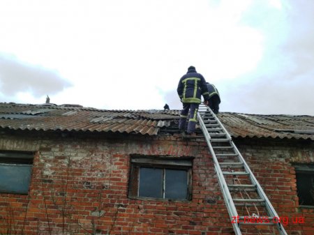 На Житомирщині горів цегляний склад, де зберігали деревне вугілля