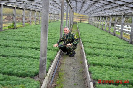 23,5 млн молодих дерев висадять цього року на Житомирщині
